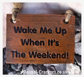 'wake Me Up When It's The Weekend' Sign Sleeping Pig - Squirrel #8075953