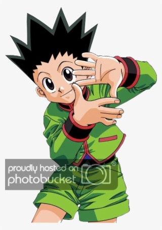 Picture - Hunter X Hunter Gon #8075954