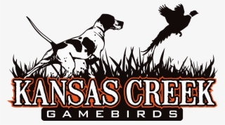 Pdf Logo Download - Bird Dog Logo #8076371