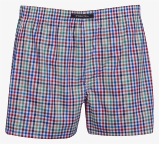 Board Short #8076411