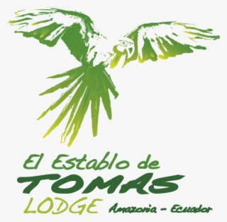 Ubicación En Tena - Petra Sihombing #8078276