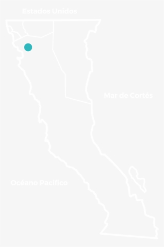 Baja's Wine Country Is Comprised Of Over 150 Wineries - Circle #8079322