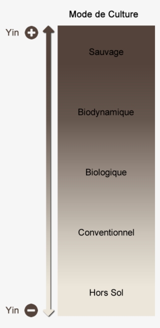 Ying Plus Minus - Tan #8080179