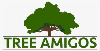 Tree Amigos #8080384