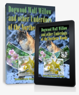 Dogwood - Book Cover #8081567