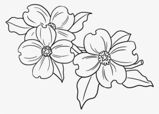 Easy Drawing Guides - Sunflower #8081677