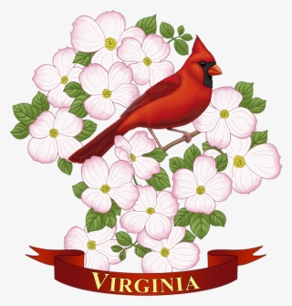Bleed Area May Not Be Visible - Virginia State Bird Drawing #8081786