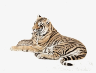 Discover Ideas About Tigers #8081927