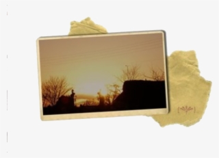 Yellow Brown Photo Polyvore Moodboard Filler Overlays, - Niche Meme Fillers Png #8081950