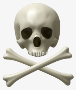 Skeleton Png Free Download - Skull Icon #8082429