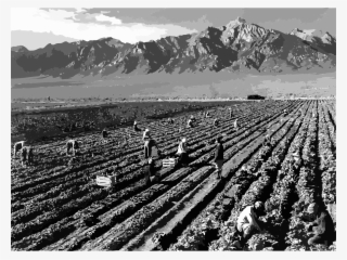 This Free Icons Png Design Of Ansel Adams #8082645