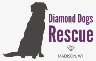 Diamond Dogs Logo Png - Diamond Dogs Rescue #8083501