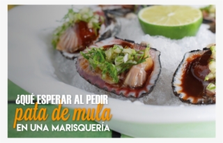¿qué Esperar Al Pedir Pata De Mula En Una Marisquería - Lemon #8083577