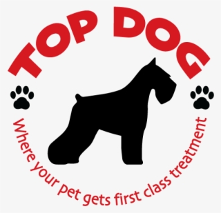 Top Dog - Standard Schnauzer #8083911