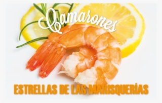 Estrellas De Las Marisquerías - Shrimp #8084198