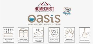 Homecrest Oasis - Graphics #8087219