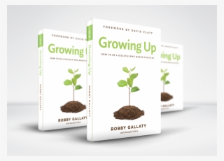 Chapter 1 Of Growing Up - Three Books Mockup #8087689