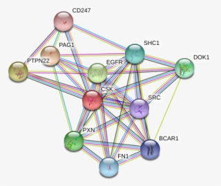Circle #8088478 Circle #8088478