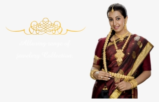 Flower - Tradition #8089427