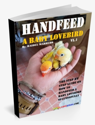 I Have A Peachy Face Lovebird And I Don't Want To Get - Turkey #8089474