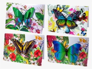 Papilio Machaon #8091161