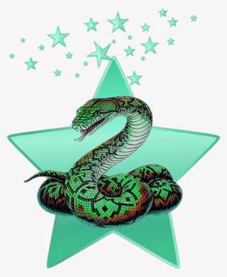 Mq Green Snake Stars Star Animal #8091897 Mq Green Snake Stars Star Animal #8091897