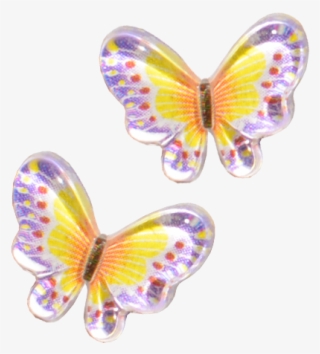 Brush-footed Butterfly #8092018