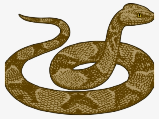 Smooth Green Snake Clipart Diary - Hình Ảnh Con Trăn #8092189 Smooth Green Snake Clipart Diary - Hình Ảnh Con Trăn #8092189