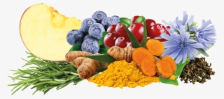 Carefully Selected Dried Fruit And Vegetables Provide - Natural Foods #8092221