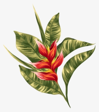 Tropical - Painting #8092284