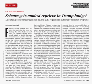 Horse And The Depths: Artists' Books #8092285