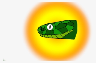 Snake - Western Green Mamba #8092520