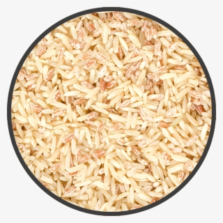 Rice - American Chinese Cuisine #8092727