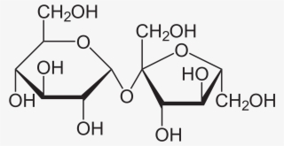 Carbohydrate Drawing Cracker - Sucrose Structure #8093198