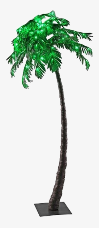 Palm Tree Transparent Background Png - Borassus Flabellifer #8094517