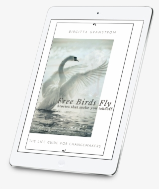 Free Birds Fly - Trumpeter Swan #8094922
