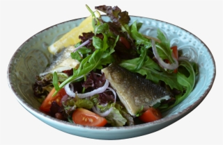 Fish Virtually Any Type Unbelievably Useful #8095035