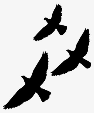 Free Image On Pixabay - Bird Png #8095082 Free Image On Pixabay - Bird Png #8095082