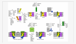 Download - Diagram #8096063