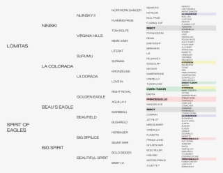 Silvano Tabulated Pedigree - Document #8096201