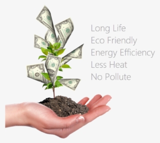 Energy Solutions Facts - Dinheiro Da Em Arvore #8096314