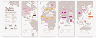 'the Origin Of Spices' Data Visualization - Illustration #8096484