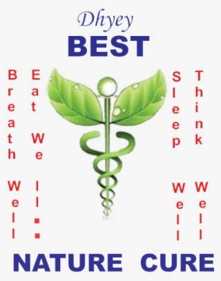 Buy Amaltas / Garmalo / Cassia Fistula / Cassia Fistula-seeds - Naturopathy Treatment #8096550