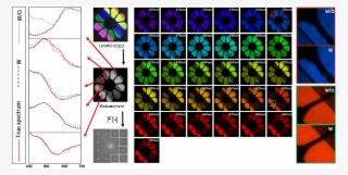 The Experimental Reconstruction Of A Flower Film With - Graphic Design #8097403 The Experimental Reconstruction Of A Flower Film With - Graphic Design #8097403