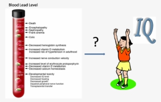 Assume That In Our Study We Identify Whether Each Child - Lead Poisoning In Children #8098245