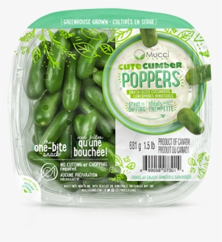 Cutecumber Poppers - Mucci Cutecumber #8098730