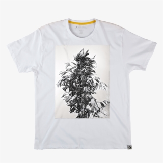 Genic - Roger Dean Shadow Beast #8099541