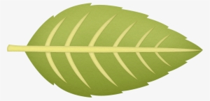 3d Patternpatternstree - Circle #810241