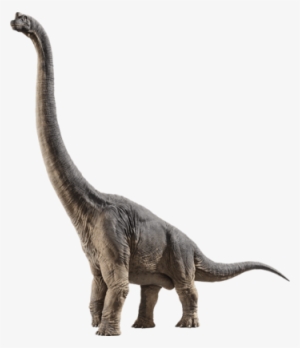 Brachiosaurus - Jurassic World Fallen Kingdom Stegosaurus #810436