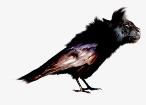 Now Onto The Background And What It All Represents - Portable Network Graphics #810747